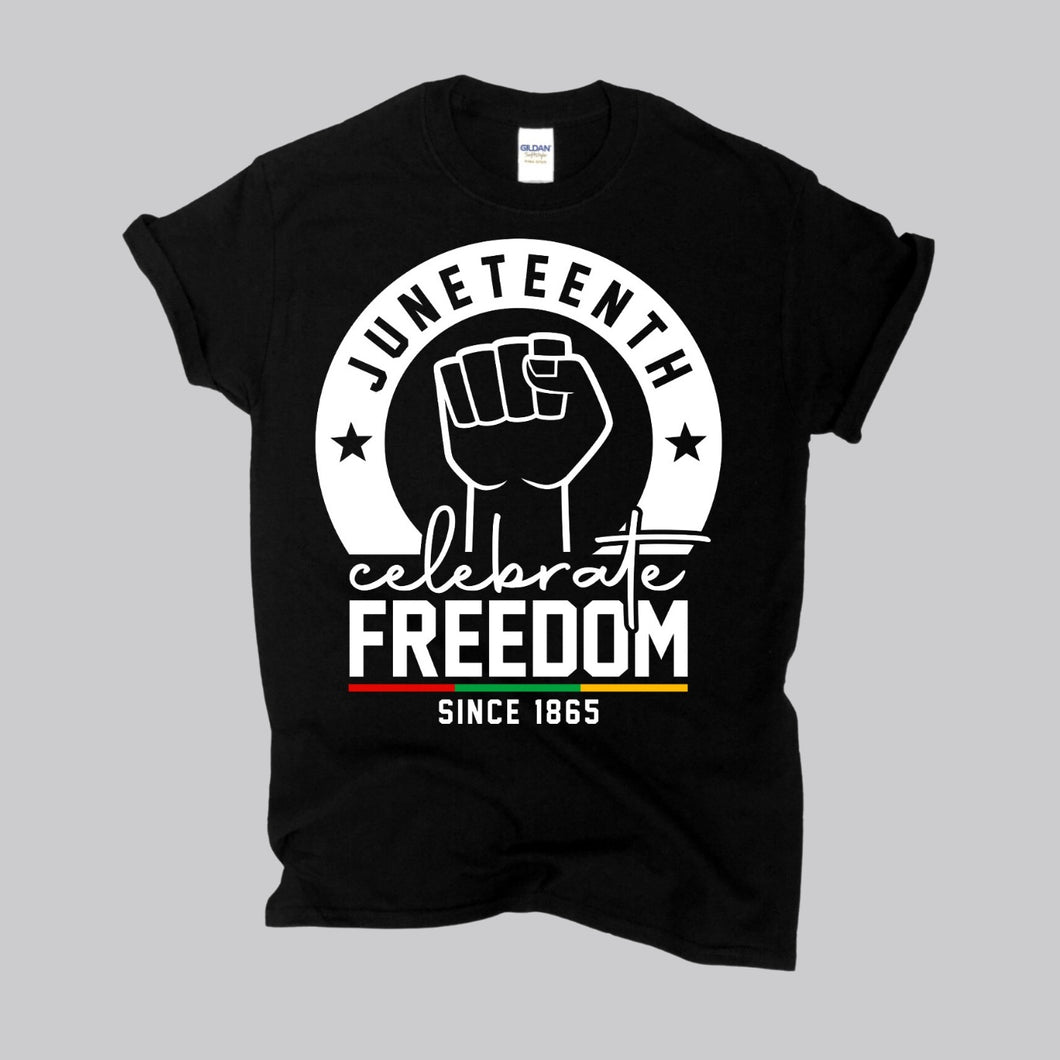 Juneteenth FREEDOM T-Shirts